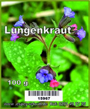 Lungenkraut 100 g